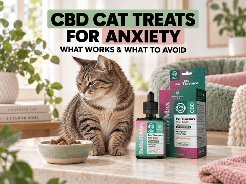 CBD Cat Treats for Anxiety: What Works, What to Avoid, and a Better Option for Picky Cats - Green Revolution CBD