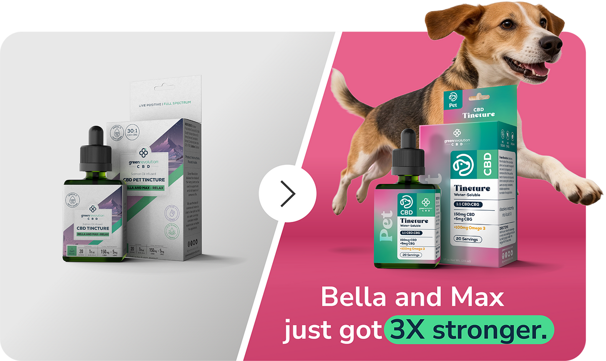 Before and after using the Bella & Max CBD pet tincture for dog anxiety, showing an anxious dog settling with a daily calming routine