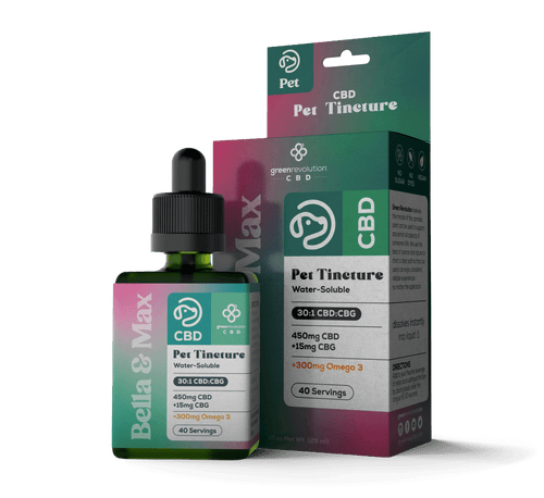 CBD Pet Tincture