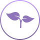 Plant-poweredsleep support