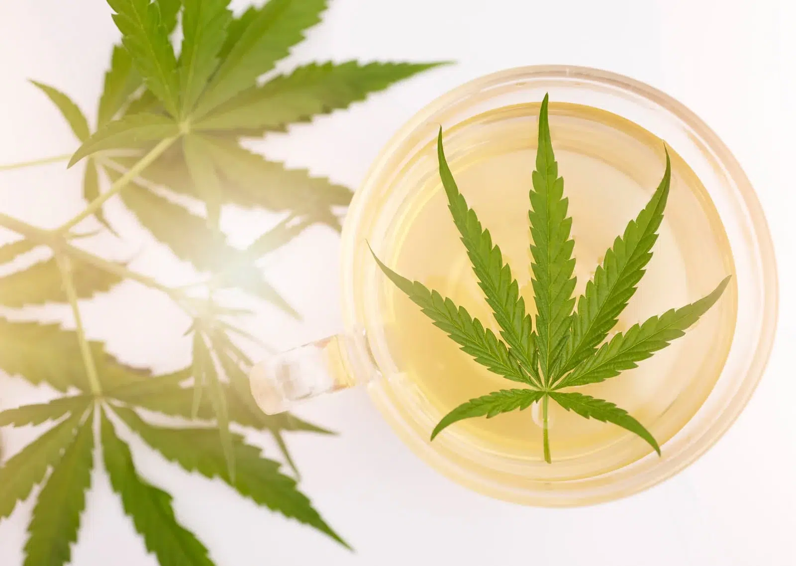 Can CBD Cause Headaches? Uncovering the Truth