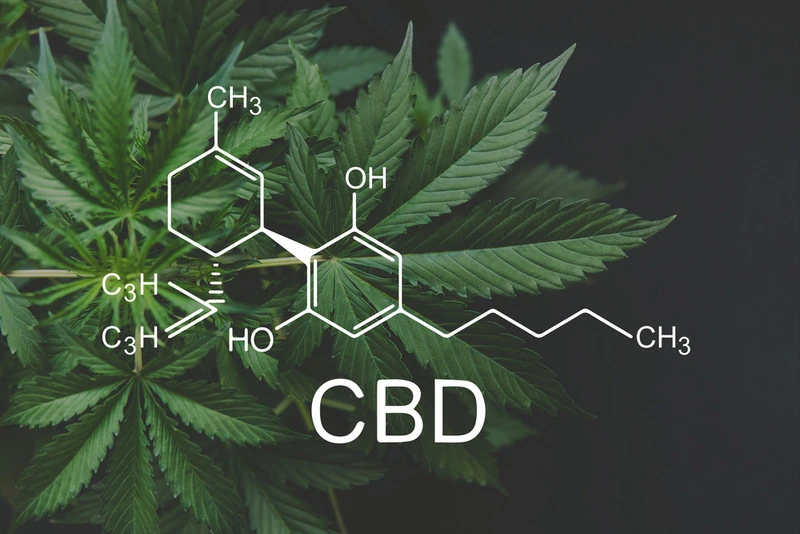 the concept of 100 mg of CBD