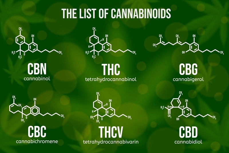 cbd vs other cannabinoids