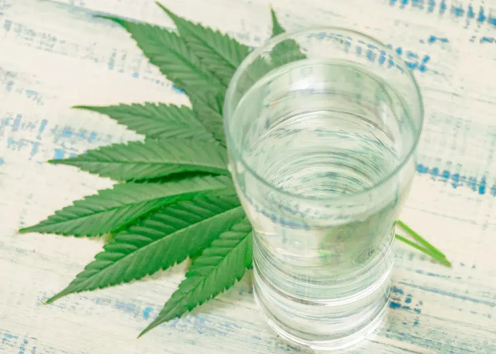 does cbd dehydrate you